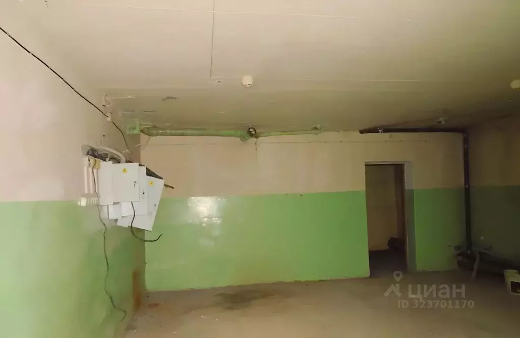 Помещение свободного назначения в Новосибирская область, Новосибирск ... - Фото 0