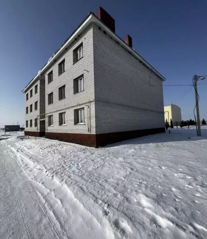 1-к кв. Рязанская область, Александро-Невский рп ул. Солнечная, 5А ... - Фото 1