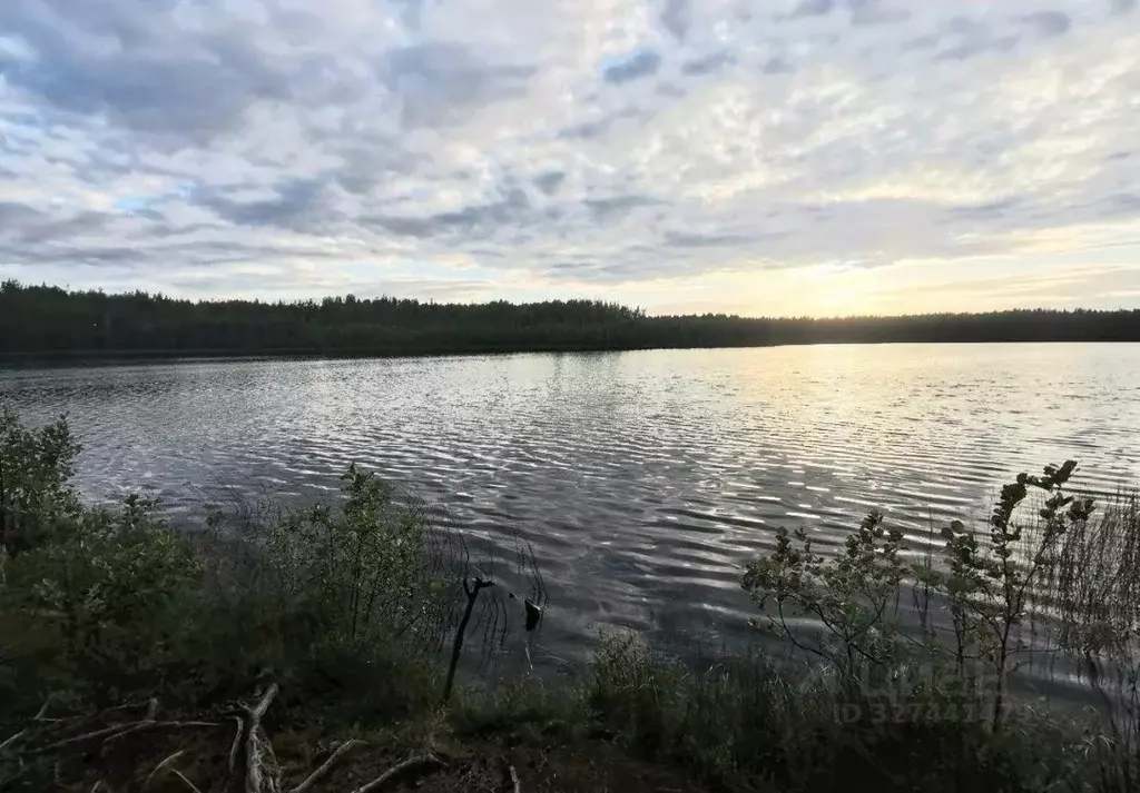 Участок в Ленинградская область, Выборгский район, Каменногорское ... - Фото 1