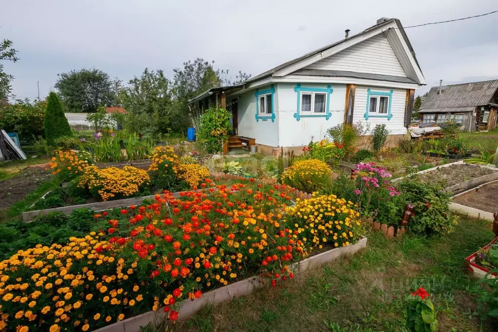 Участок в Удмуртия, Ижевск Садовод-любитель СПО, 351 (4.0 сот.) - Фото 0