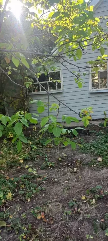 Дом в Волгоградская область, Волжский Мичуринец СНТ, ул. 10-я (25 м) - Фото 2