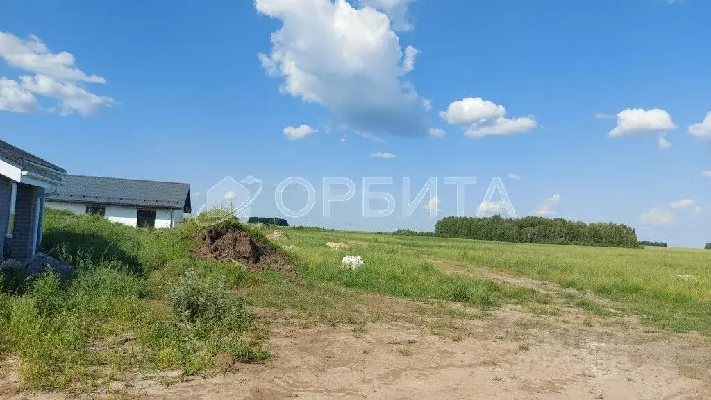 Участок в Тюменская область, Тюменский район, с. Горьковка  (10.0 ... - Фото 2