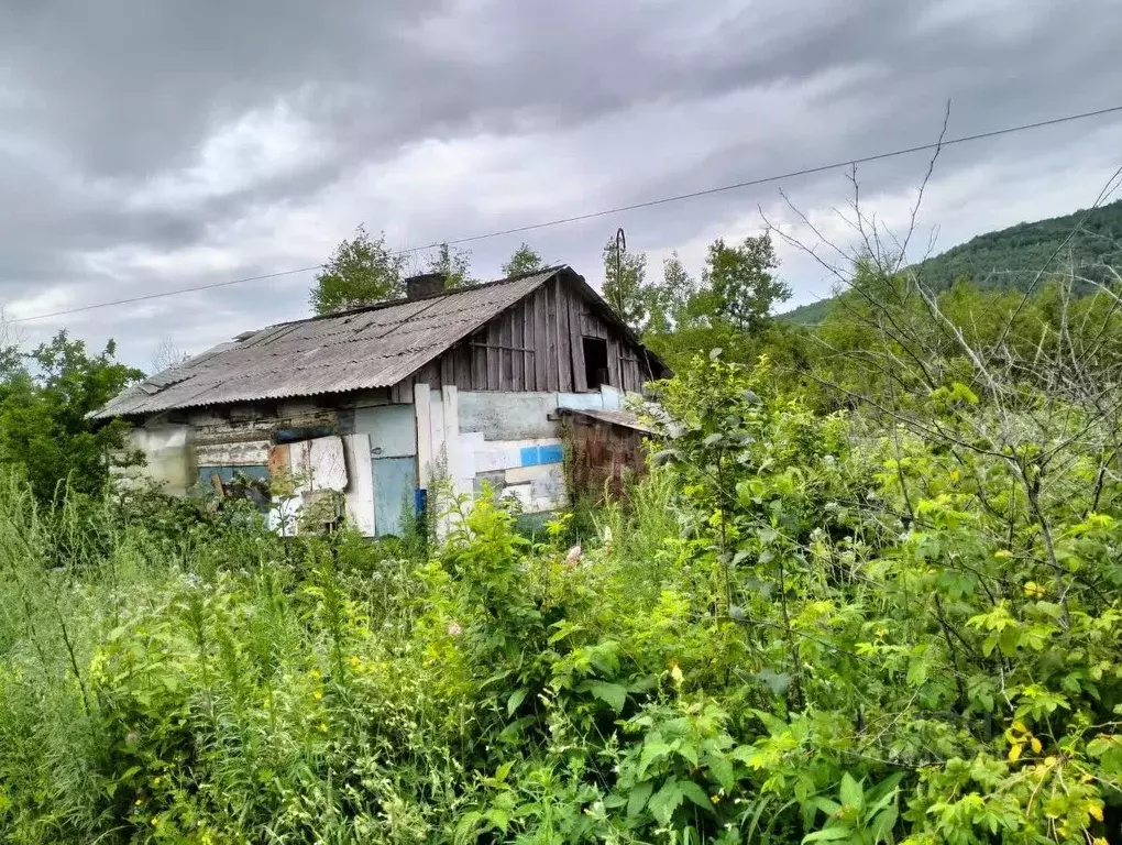 Дом в Хабаровский край, Комсомольский район, пос. Гурское ул. ... - Фото 1