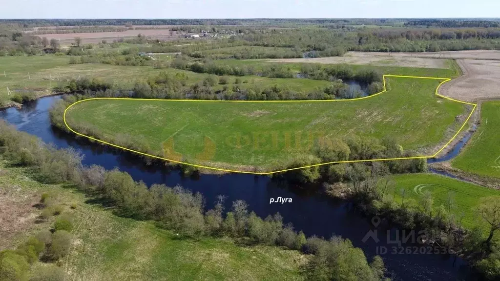 Участок в Ленинградская область, Лужский район, Дзержинское с/пос, д. ... - Фото 2