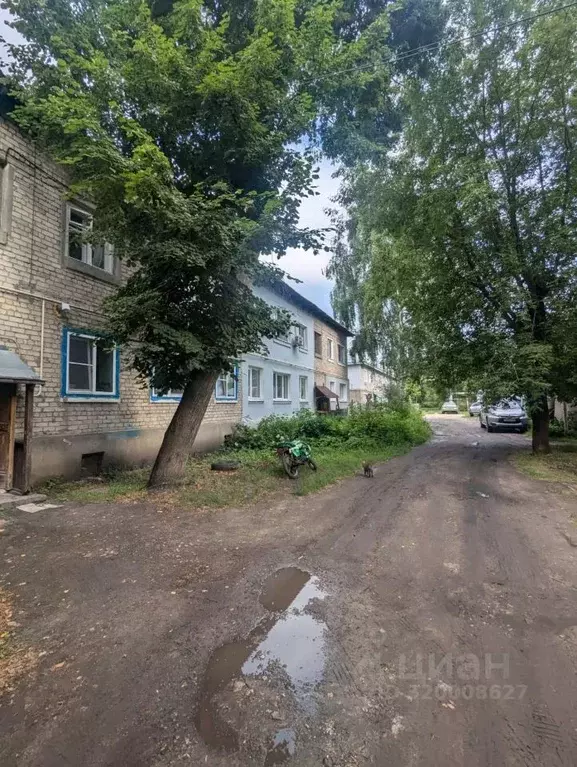 1-к кв. Владимирская область, Муром Мичуринская ул., 31 (29.9 м) - Фото 0