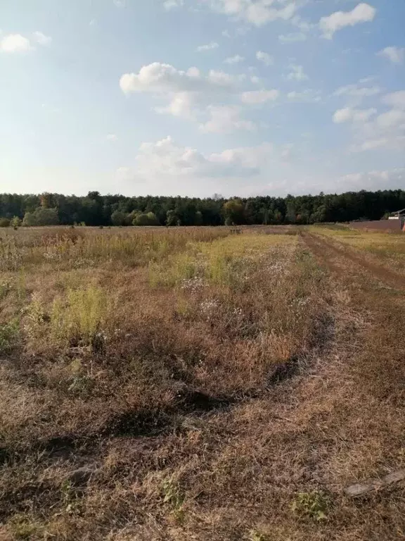 Участок в Белгородская область, Старооскольский городской округ, с. ... - Фото 1