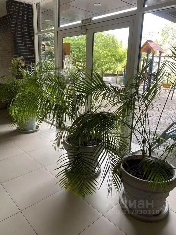 1-к кв. Краснодарский край, Сочи ул. Полтавская, 21 (30.0 м) - Фото 2