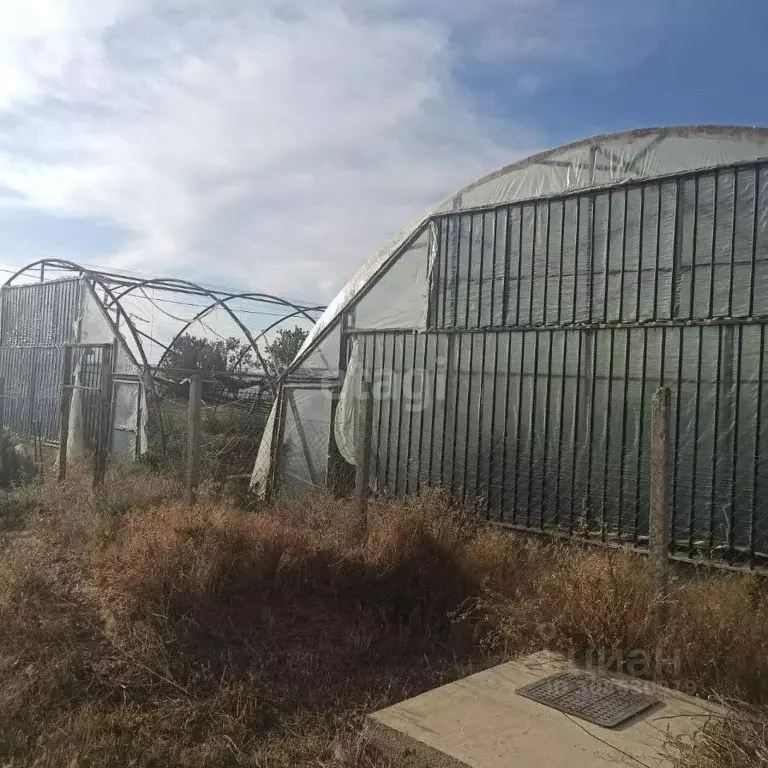 Участок в Крым, Сакский район, Митяевское с/пос, с. Шелковичное ул. ... - Фото 2