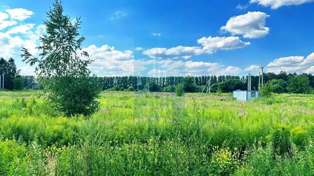 Участок в Московская область, Ленинский городской округ, Горки ... - Фото 2