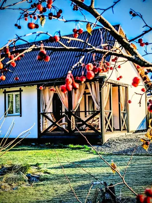 Дом в Алтай, Чемальский район, с. Чемал ул. Уютная, 38 (30 м) - Фото 1