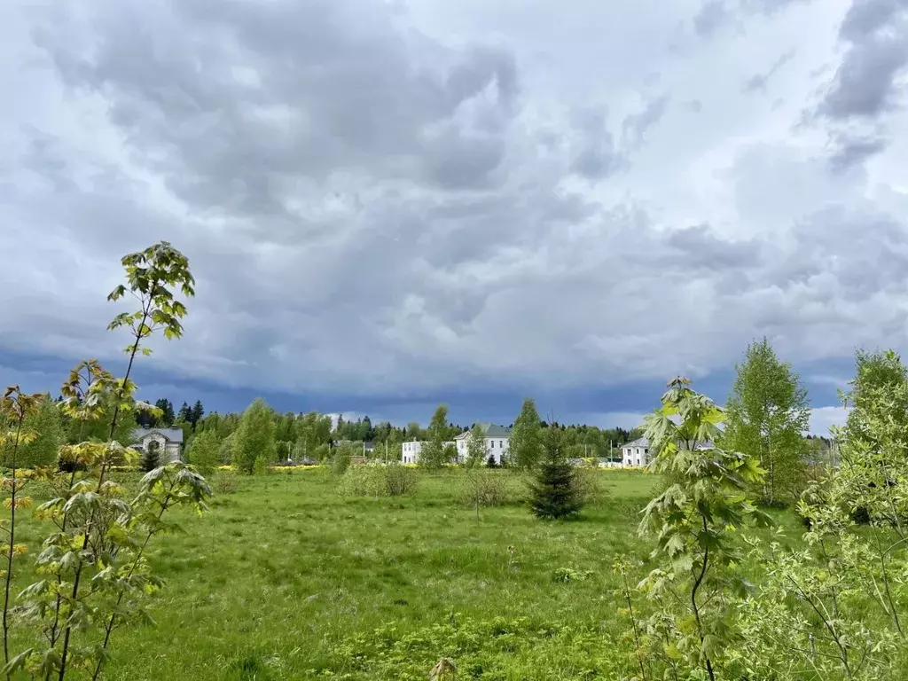 Участок в Московская область, Мытищи городской округ, д. Крюково ул. ... - Фото 2