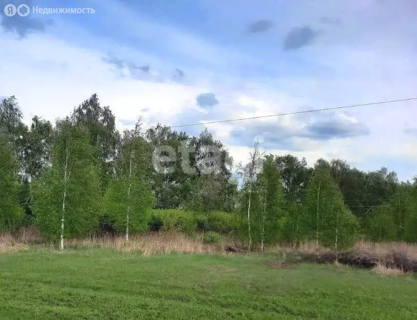 Участок в Тульская область, муниципальное образование Тула, деревня ... - Фото 0