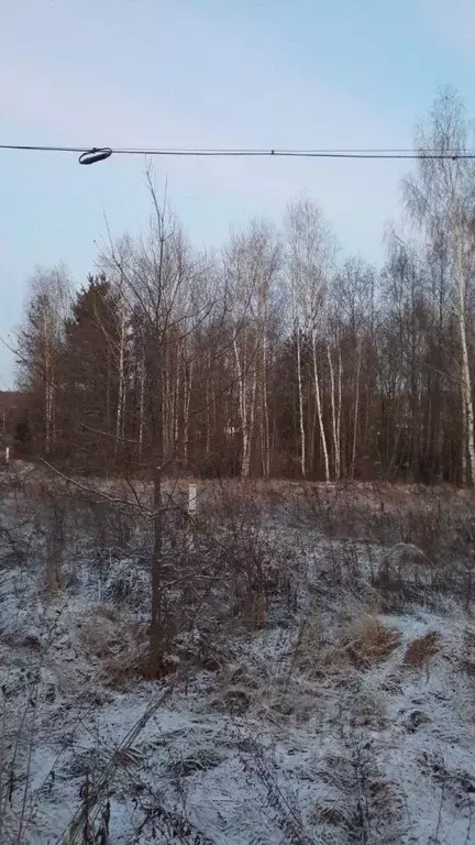 Участок в Московская область, Ступино городской округ, д. Прудно ул. ... - Фото 0