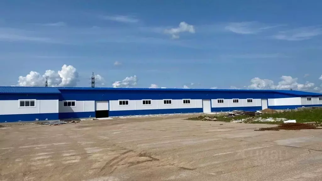 Склад в Новгородская область, Новгородский район, Панковское городское ... - Фото 1