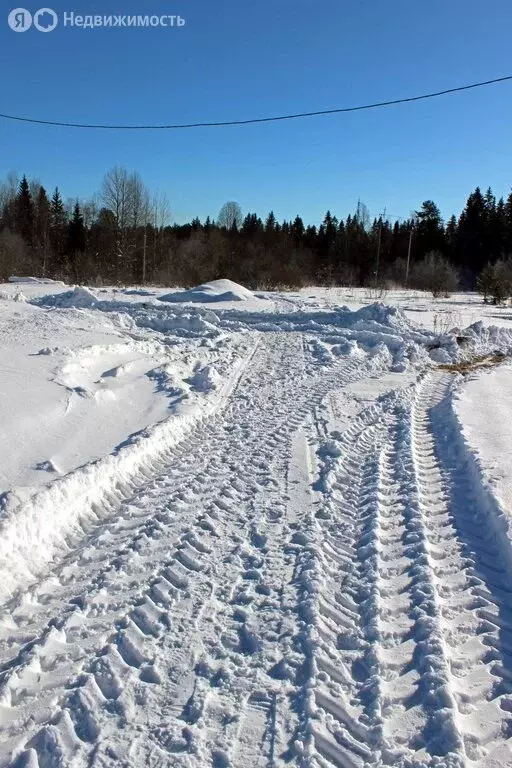 Участок в Республика Карелия, Лахденпохья (12.15 м) - Фото 2