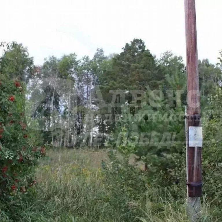 Участок в Тюменская область, Тюменский муниципальный округ, д. ... - Фото 2