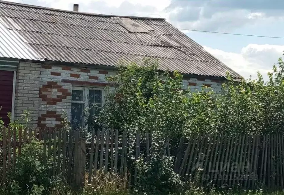 Помещение свободного назначения в Курганская область, Куртамышский ... - Фото 2