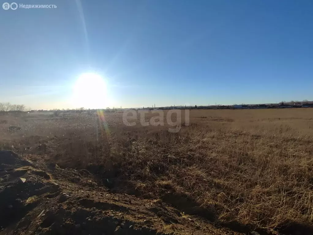 Участок в Черногорск, садоводческое некоммерческое товарищество район ... - Фото 1