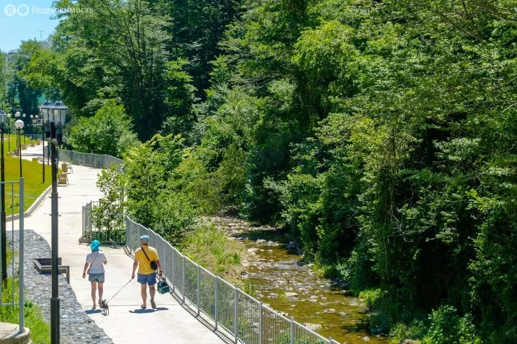 2-комнатная квартира: Краснодарский край, городской округ Сочи, село ... - Фото 2