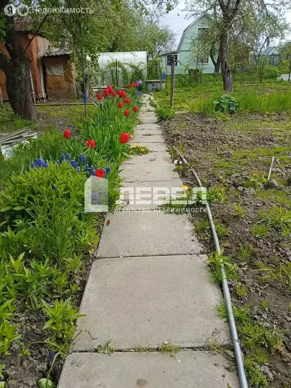 Участок в Чехов, СНТ 50 лет Октября, 119 (7.5 м) - Фото 2