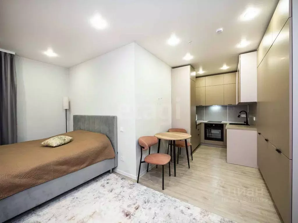 Студия Новосибирская область, Новосибирск ул. Кирова, 113/2 (33.0 м) - Фото 1