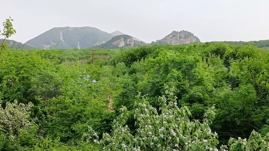 Дом 138 м на участке 5 сот. - Фото 0