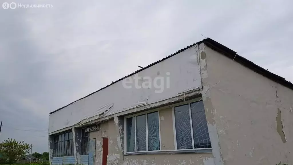Помещение свободного назначения (213.3 м) - Фото 1