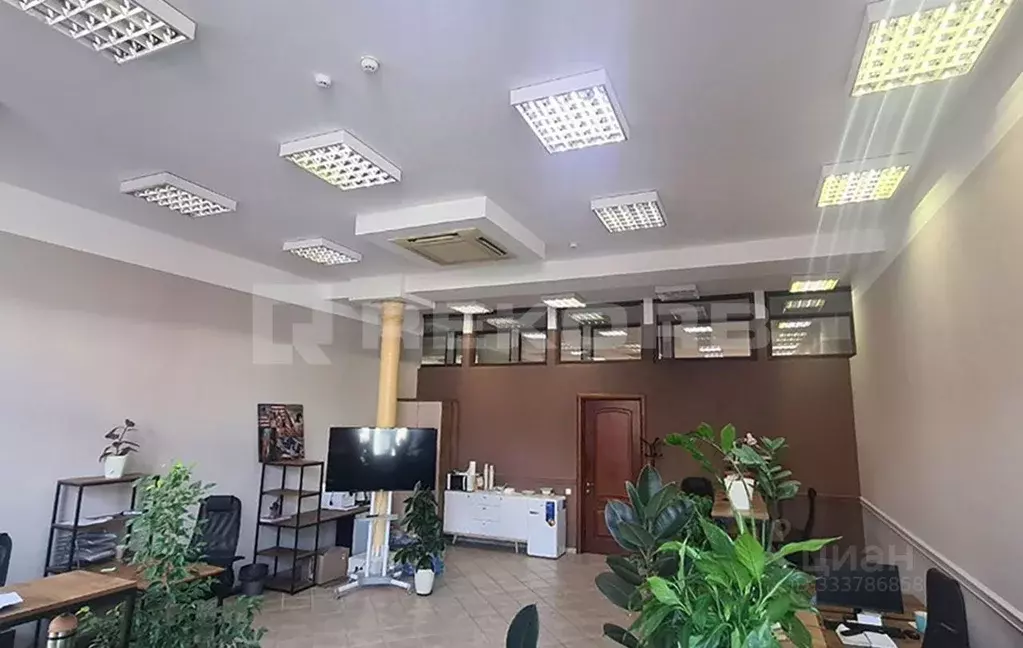 Офис в Санкт-Петербург ул. Красного Курсанта, 25Ж (115 м) - Фото 1