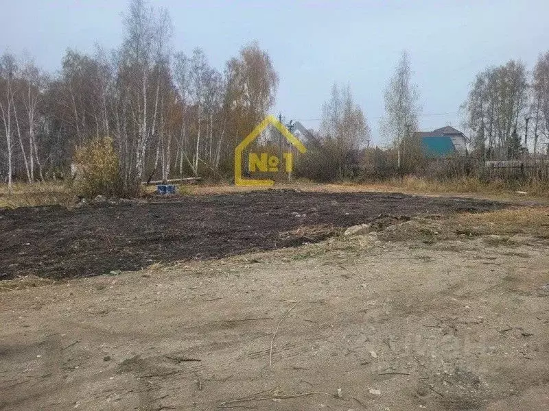 Участок в Челябинская область, Аргаяшский муниципальный округ, Тимер ... - Фото 2