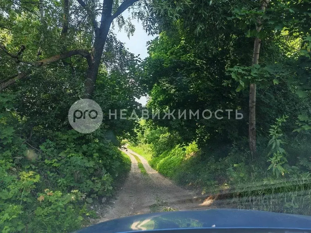 Участок в Рязанская область, Рыбновский муниципальный округ, д. ... - Фото 1
