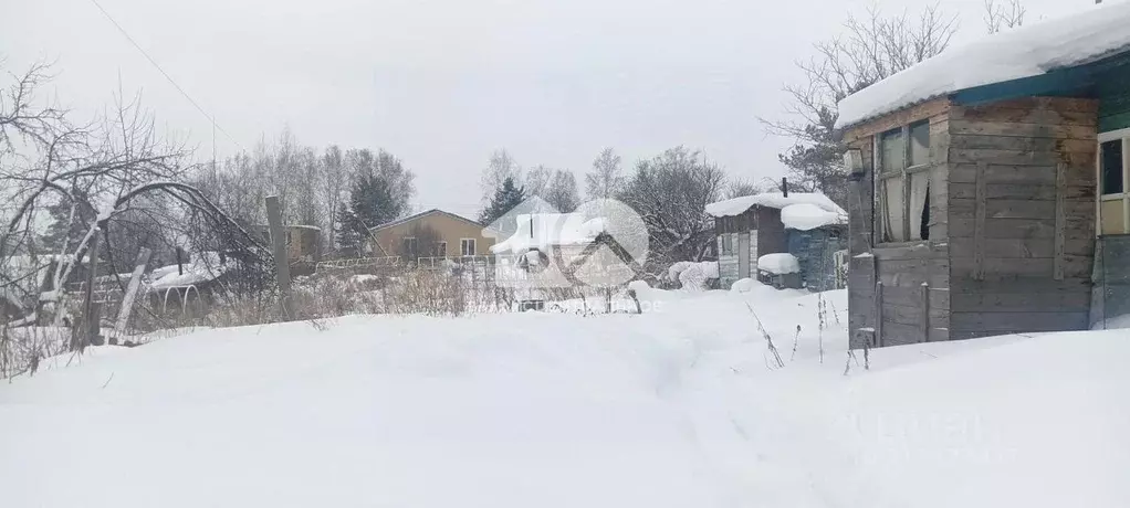 Участок в Новосибирская область, Новосибирск Золотая Горка СНТ, аллея ... - Фото 0