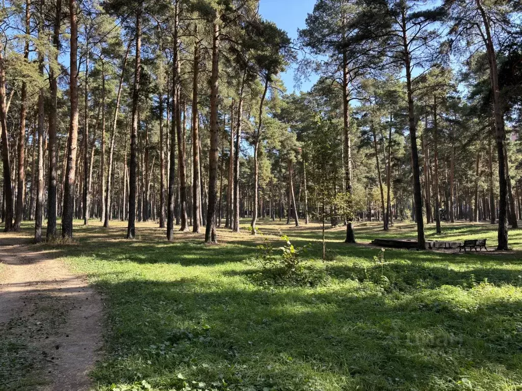 Участок в Московская область, Дмитров Межевая ул. (6.0 сот.) - Фото 0