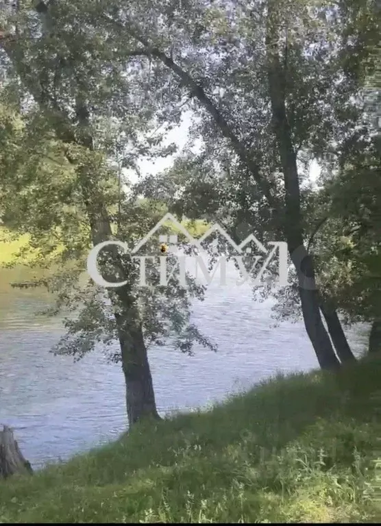 Участок в Хакасия, Алтайский район, с. Подсинее ул. Архипенко, 1А (9.0 ... - Фото 2