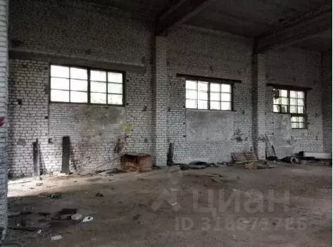 Помещение свободного назначения в Владимирская область, Селивановский ... - Фото 1