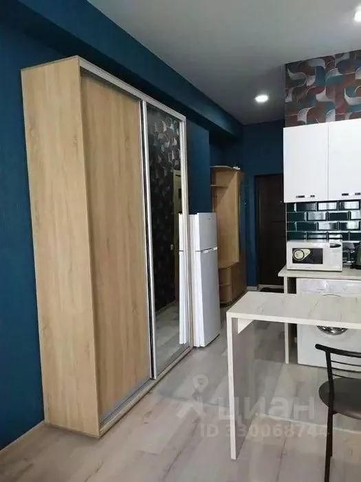 Студия Алтайский край, Барнаул ул. Антона Петрова, 238 (28.8 м) - Фото 1