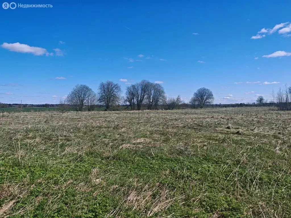 Участок в Приозерский район, Красноозёрное сельское поселение, деревня ... - Фото 2