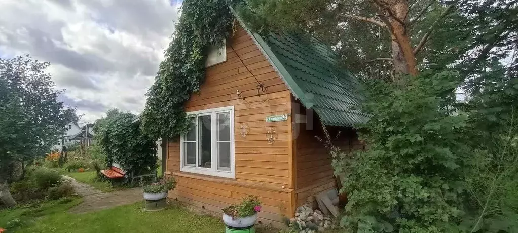 Дом в Новосибирская область, Коченевский район, Букет СНТ ул. ... - Фото 1