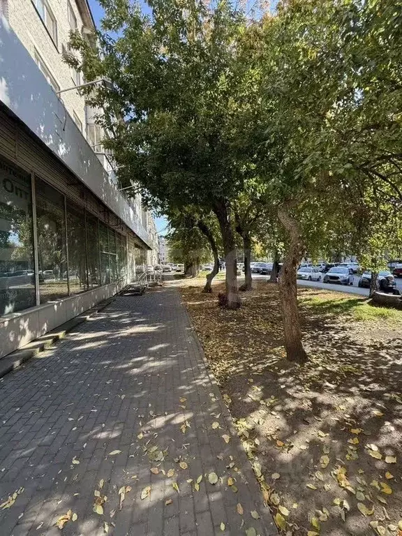 Помещение свободного назначения в Новосибирская область, Новосибирск ... - Фото 2