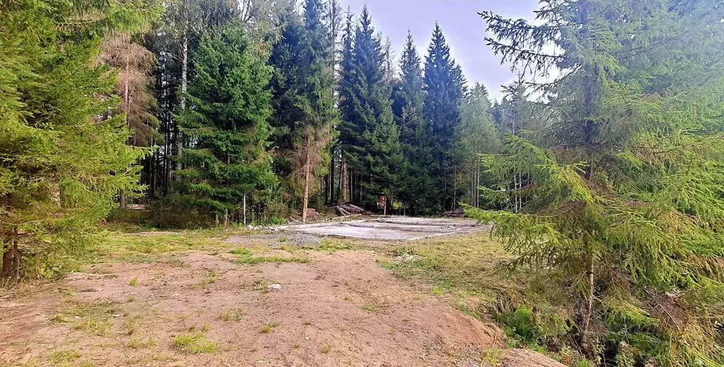 Участок в Ленинградская область, Выборгский район, Полянское с/пос, ... - Фото 2