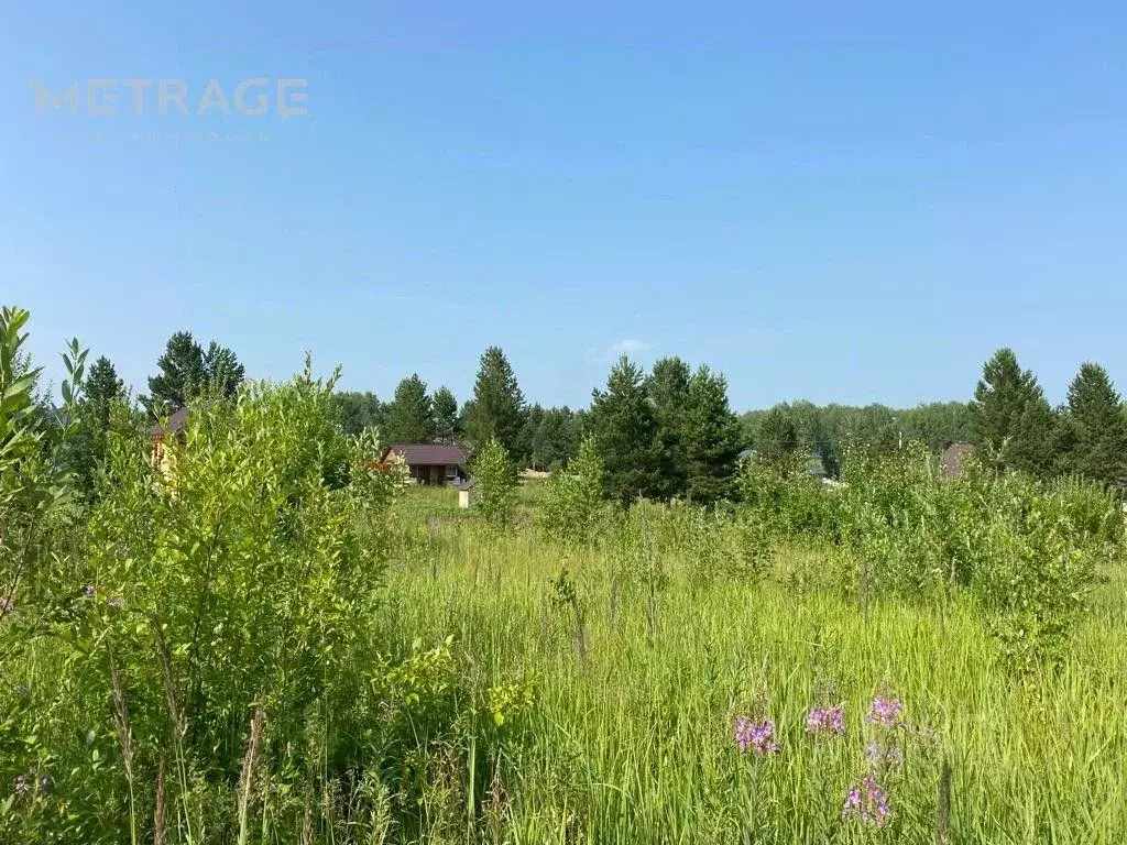 Участок в Новосибирская область, Новосибирский район, Плотниковский ... - Фото 1