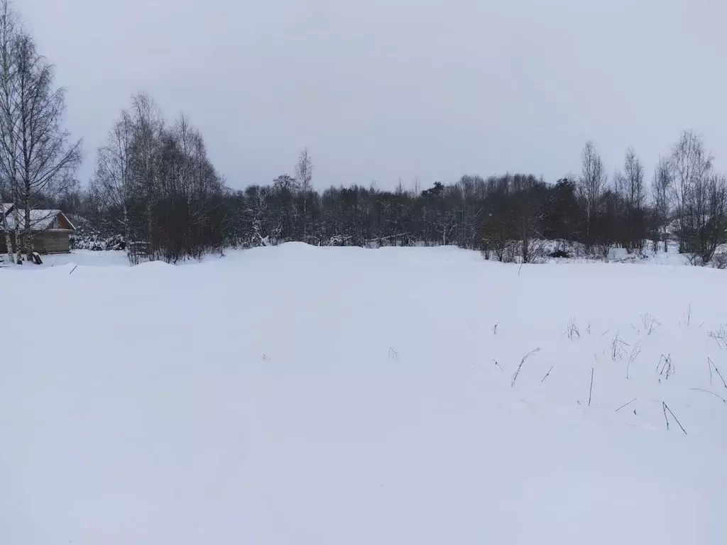 Участок в Ленинградская область, Волховский район, Пашское с/пос, с. ... - Фото 1