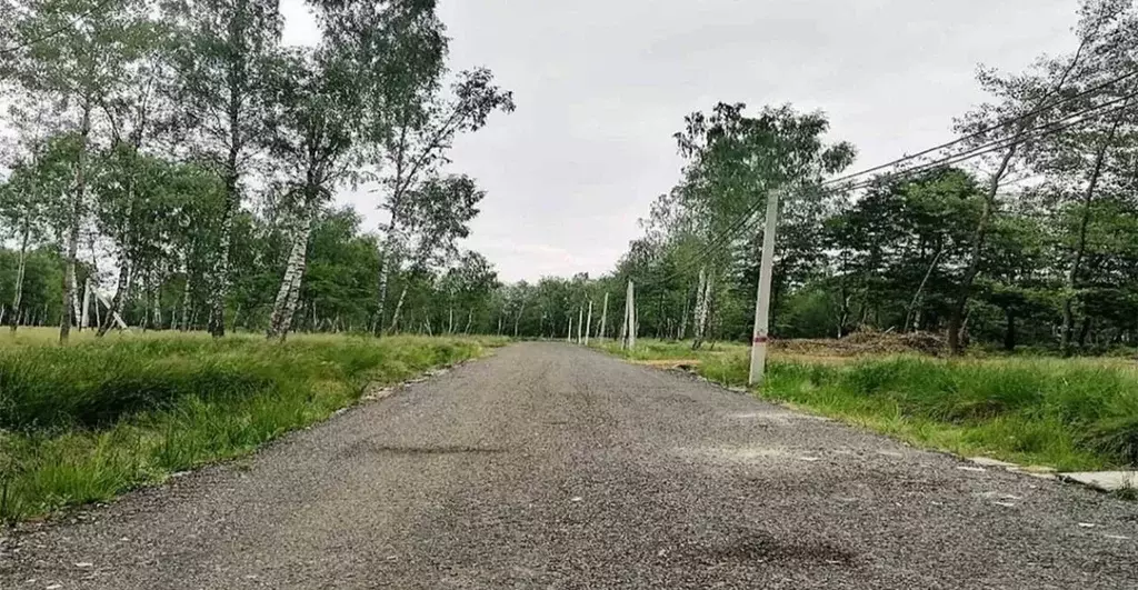 Участок в Московская область, Раменский муниципальный округ, д. ... - Фото 1