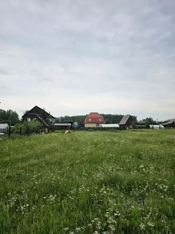 Участок в Московская область, Пушкинский городской округ, д. Дарьино 7 ... - Фото 2
