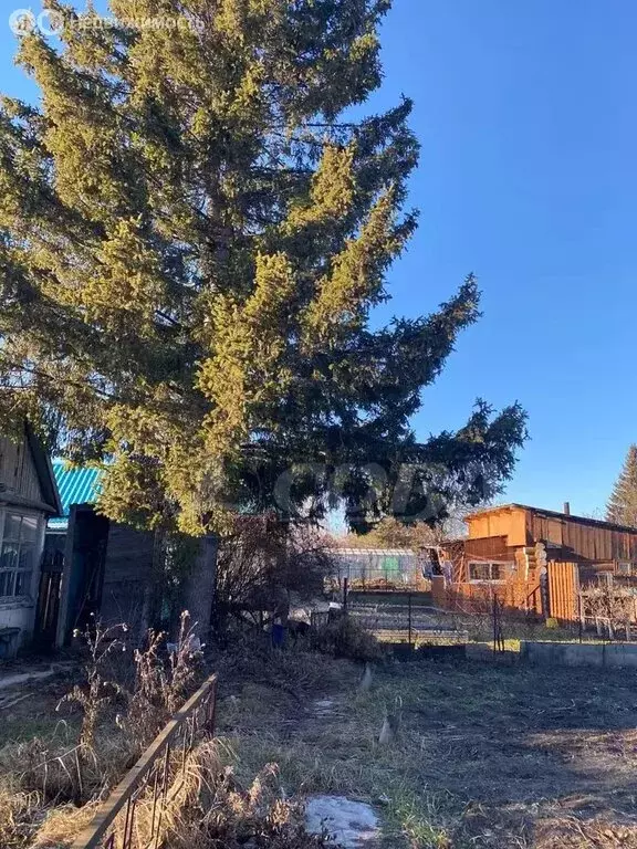 Дом в Тюмень, садовое товарищество Здоровье, улица Вишенка (20 м) - Фото 2