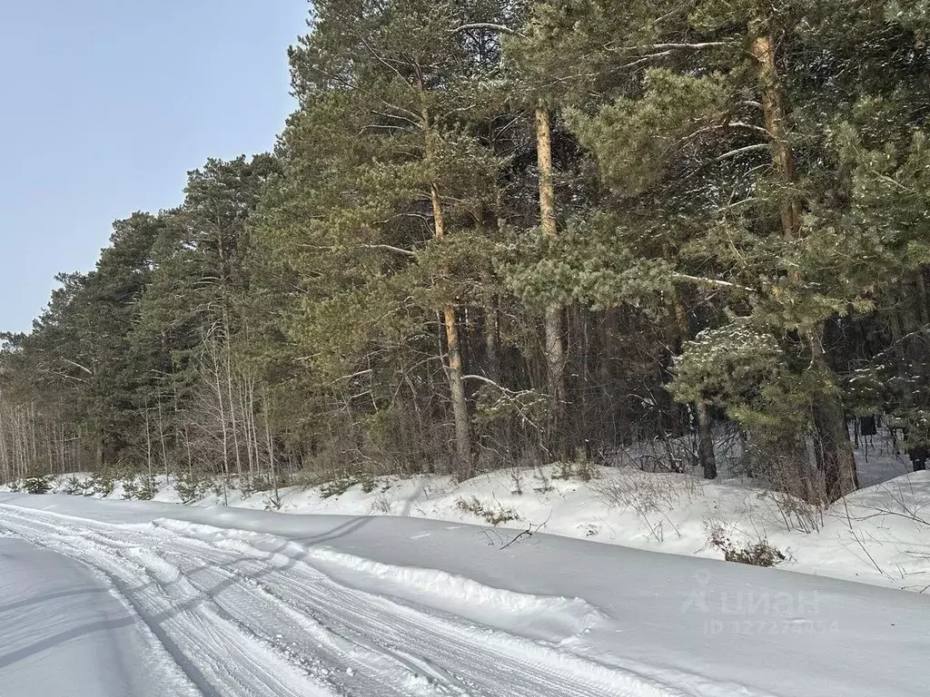 Участок в Свердловская область, Екатеринбург пер. Певческий (20.0 ... - Фото 1