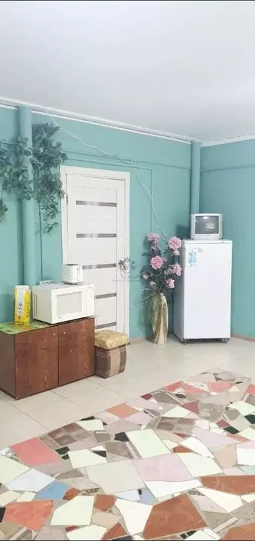 Дом в Краснодарский край, Туапсинский муниципальный округ, с. ... - Фото 2