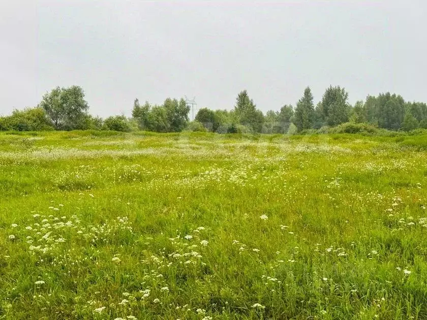 Участок в Тюменская область, Тюменский район, с. Щербак  (7.0 сот.) - Фото 0