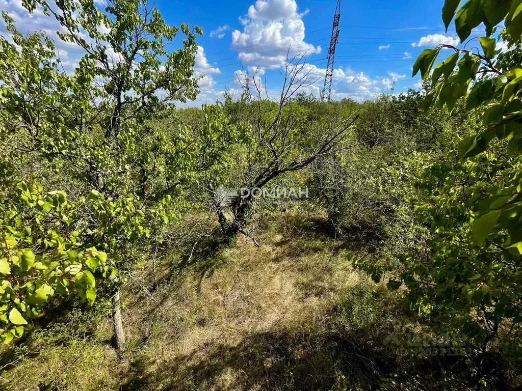 Участок в Ростовская область, Новочеркасск Надежда садовое ... - Фото 0