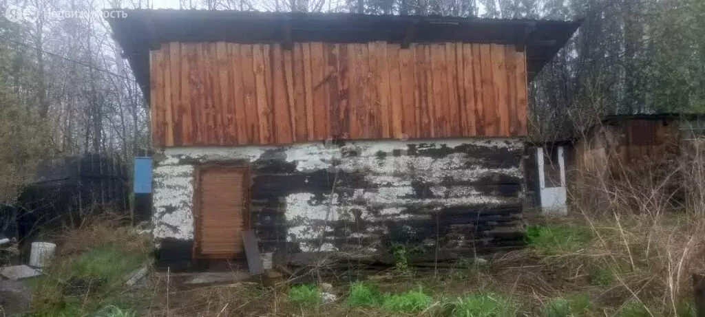 Участок в Свердловская область, Белоярский муниципальный округ, ... - Фото 2