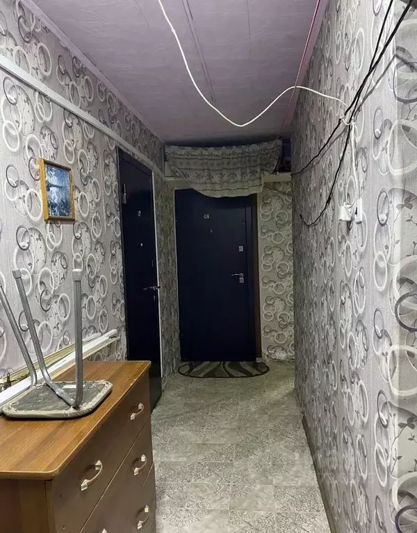 Комната Новосибирская область, Новосибирск ул. Энгельса, 14 (13.0 м) - Фото 2
